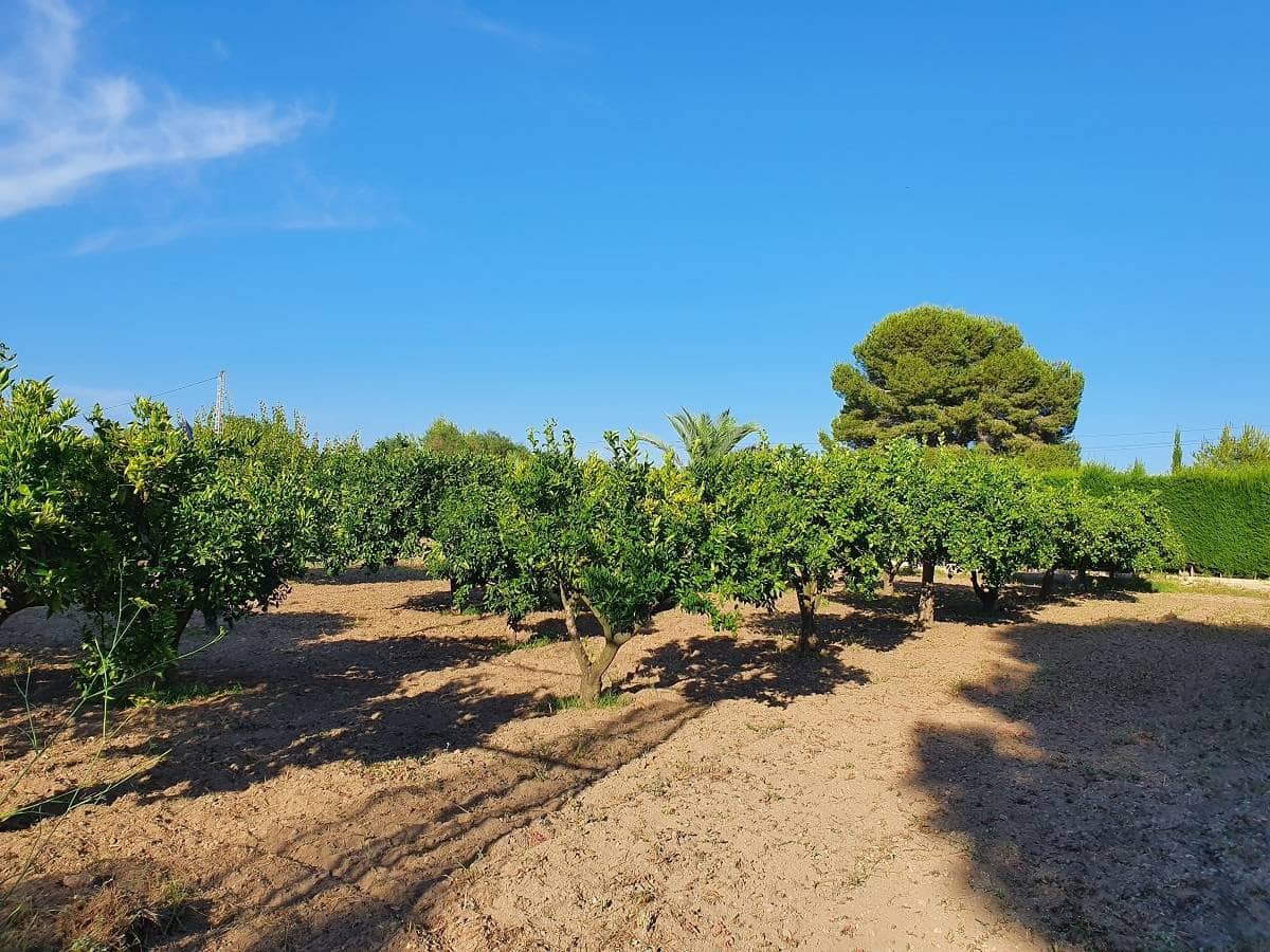 6 soveværelse Villa til salg i Torrevieja med swimmingpool - € 690.000 (Ref: 8207391)