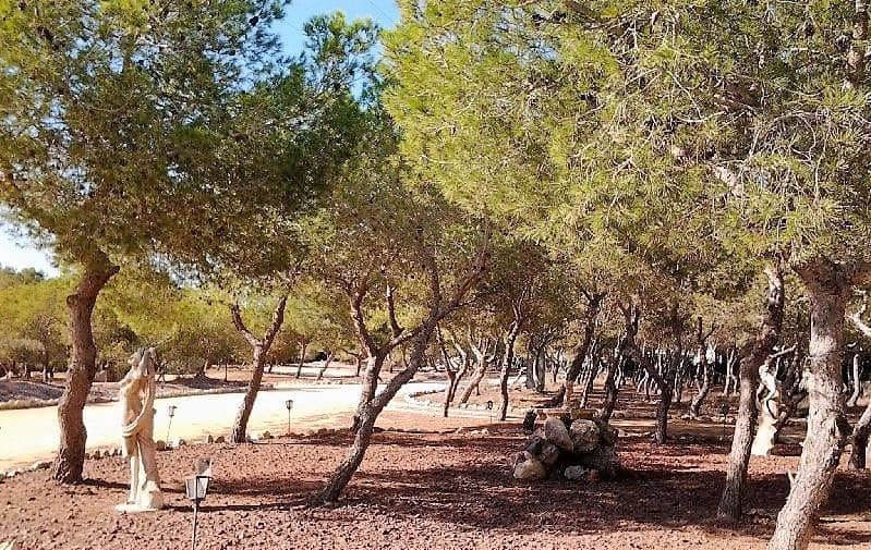 6 soverom Finca/Herregård til salgs i Rojales med svømmebasseng - € 995 000 (Ref: 8207427)