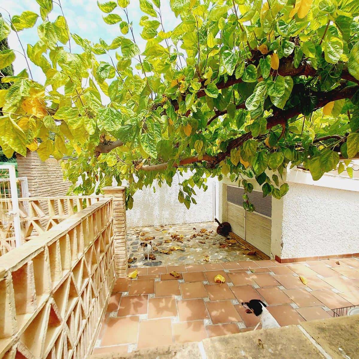 7 soveværelse Villa til salg i Orihuela Costa med swimmingpool - € 1.490.000 (Ref: 8550981)