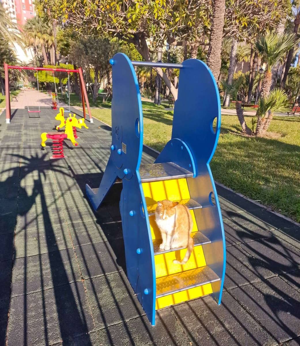 3 camera da letto Appartamento in vendita in Torrevieja con piscina garage - 269.500 € (Rif: 8747718)