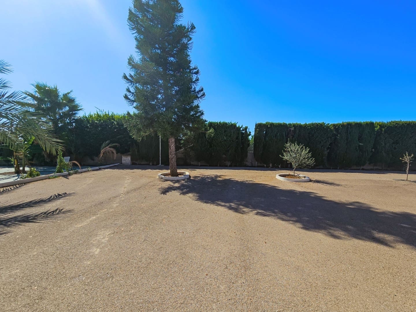 5 soveværelse Finca/Landehus til salg i Algorfa med swimmingpool - € 750.000 (Ref: 8968061)