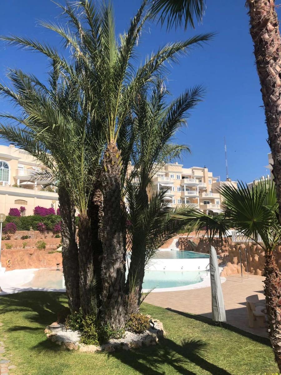 3 soveværelse Penthouse til salg i Guardamar del Segura med swimmingpool garage - € 389.000 (Ref: 9050850)