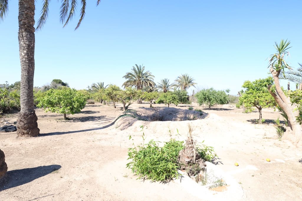 5 soveværelse Finca/Landehus til salg i La Marina - € 570.000 (Ref: 9088557)