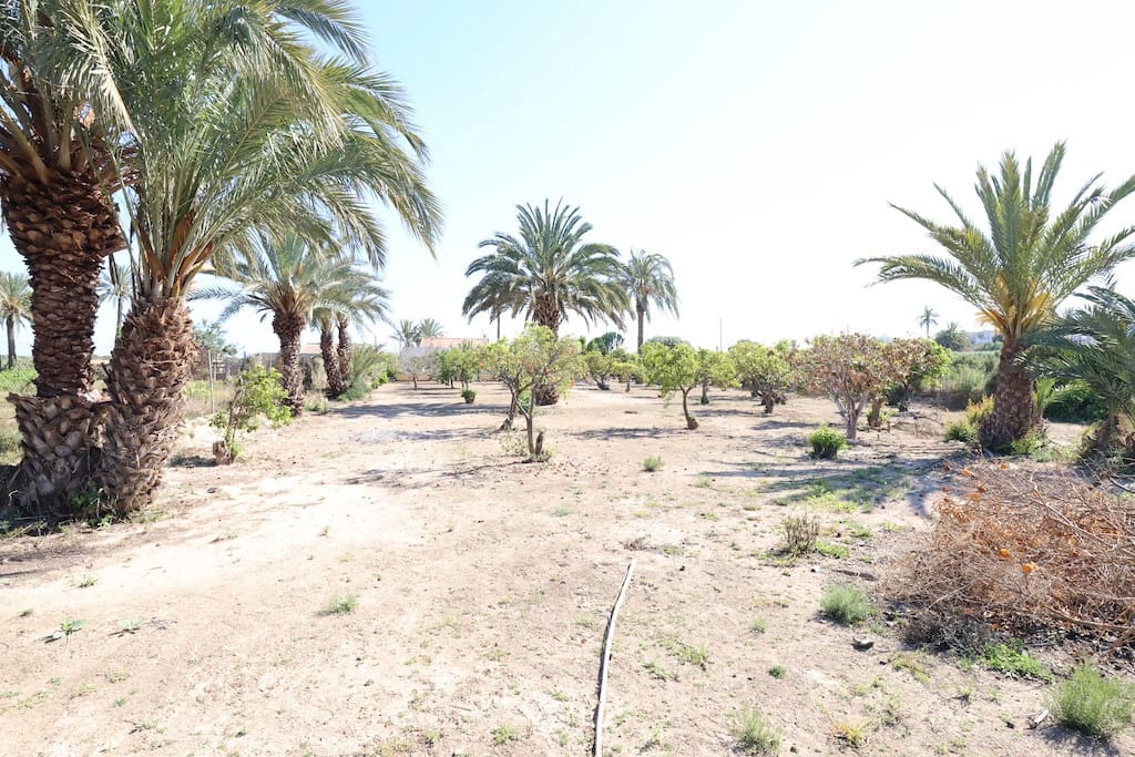 5 soveværelse Finca/Landehus til salg i La Marina - € 570.000 (Ref: 9088557)