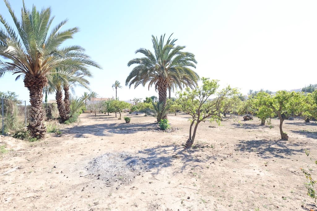 5 soveværelse Finca/Landehus til salg i La Marina - € 570.000 (Ref: 9088557)