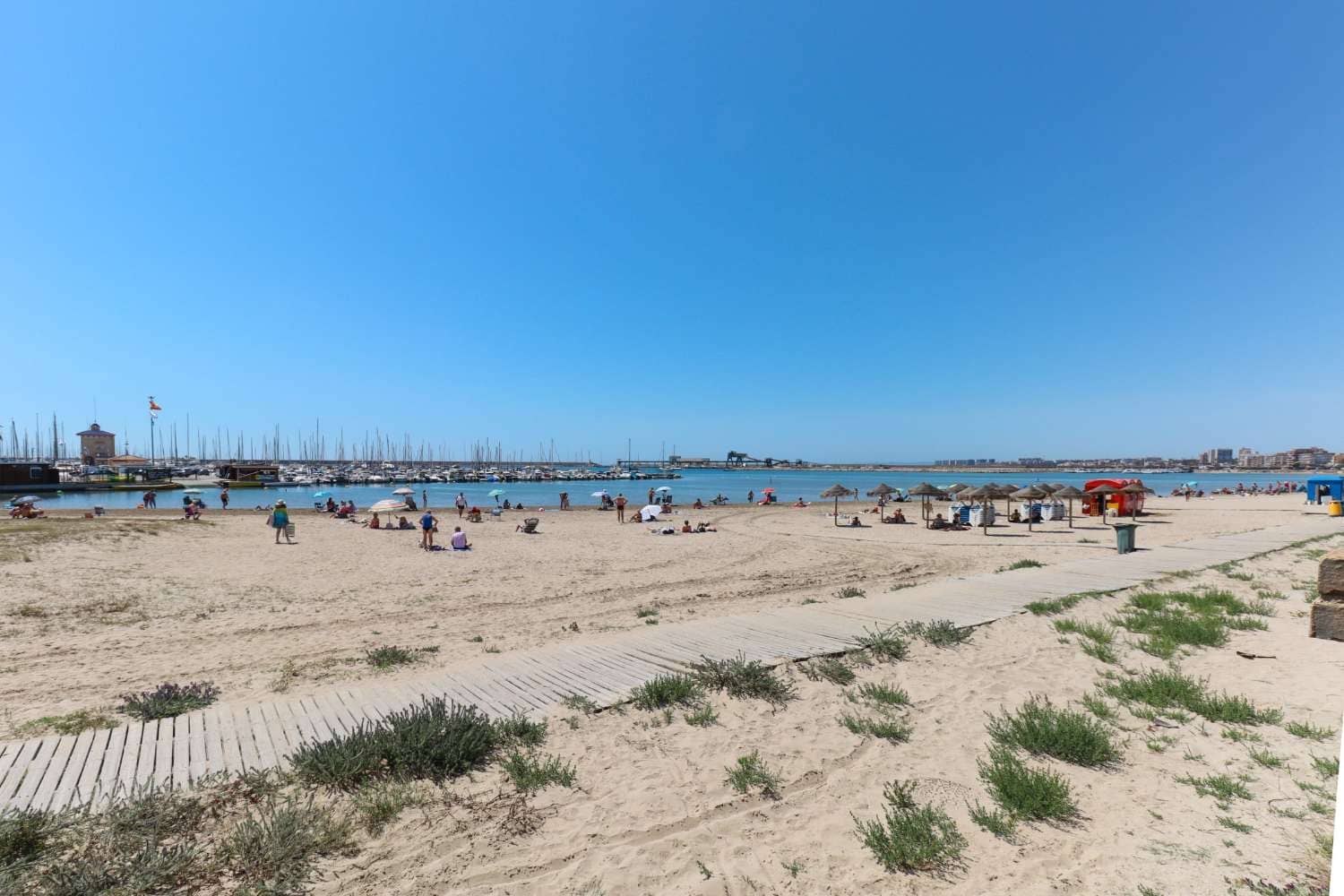 Kommersiell till salu i Torrevieja - 126 000 € (Ref: 9088563)
