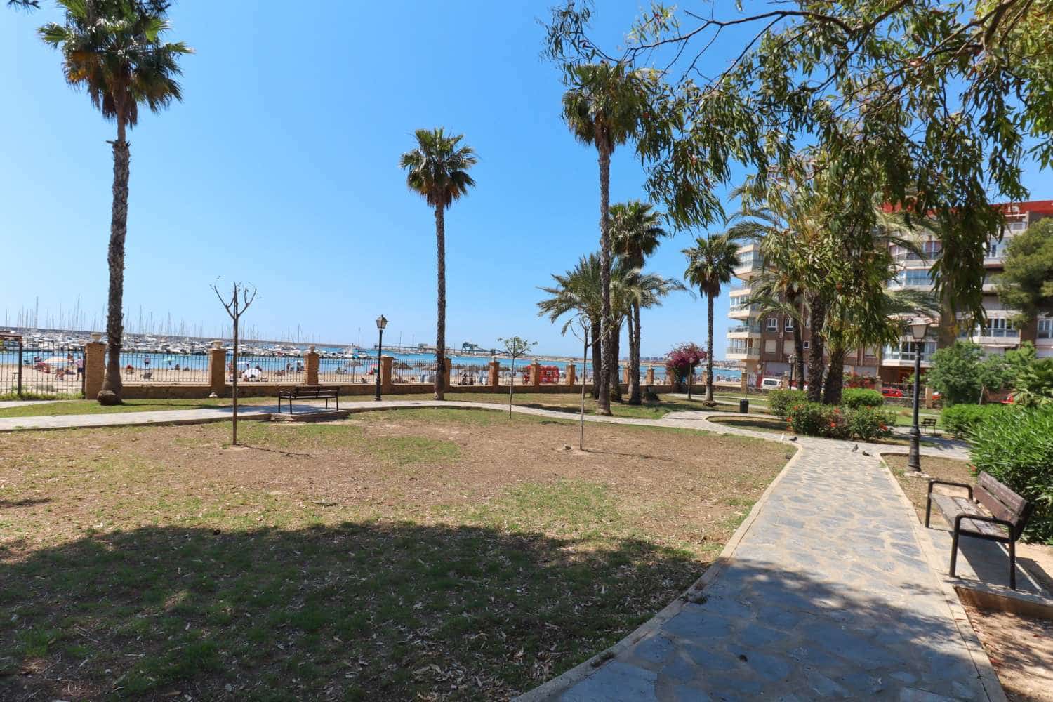 Kommersiell till salu i Torrevieja - 126 000 € (Ref: 9088563)