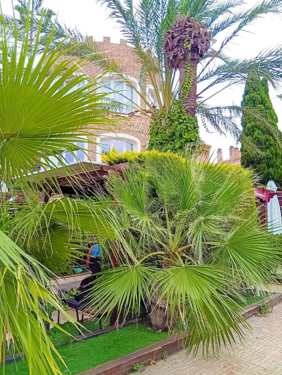 2 soveværelse Bungalow til salg i La Florida med swimmingpool - € 135.000 (Ref: 9132195)