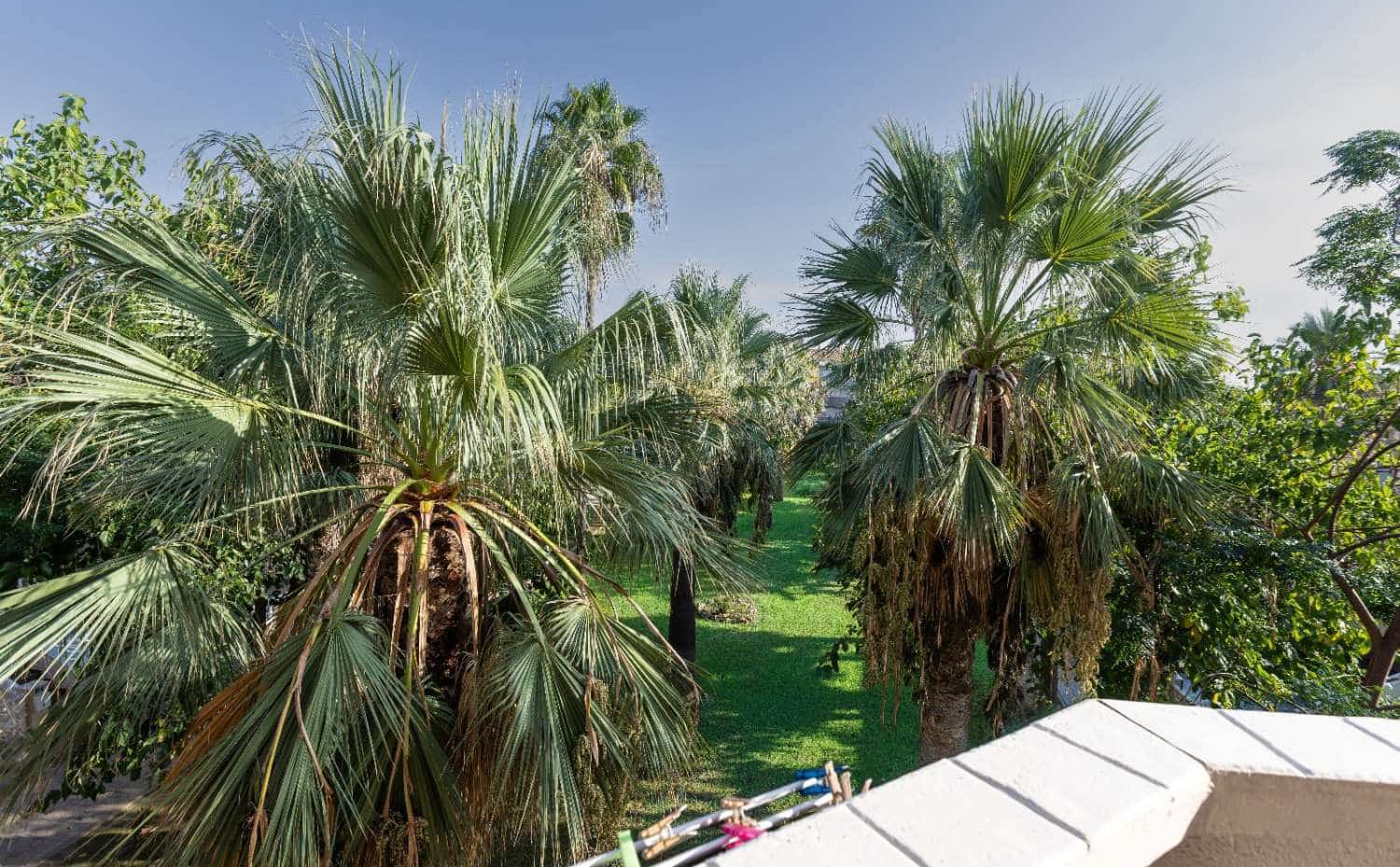 1 sypialnia Apartament na sprzedaż w Orihuela Costa - 104 500 € (Ref: 9403023)