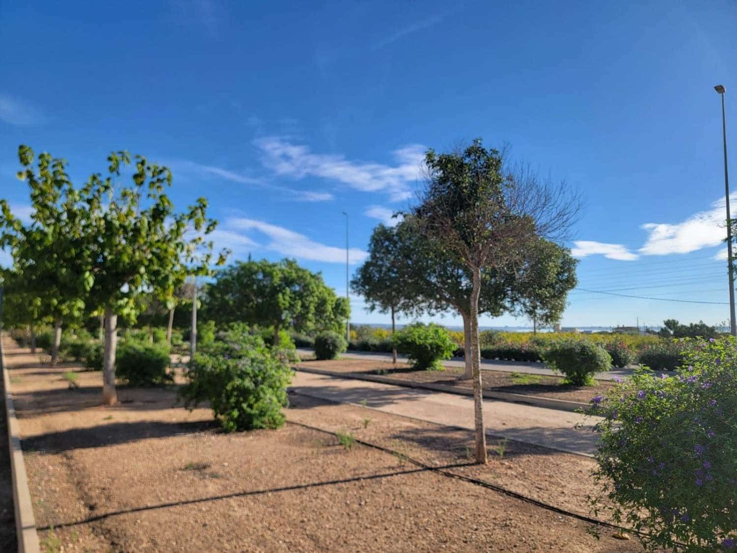 3 Zimmer Reihenhaus zu verkaufen in Los Montesinos mit Pool Garage - 215.000 € (Ref: 9512107)