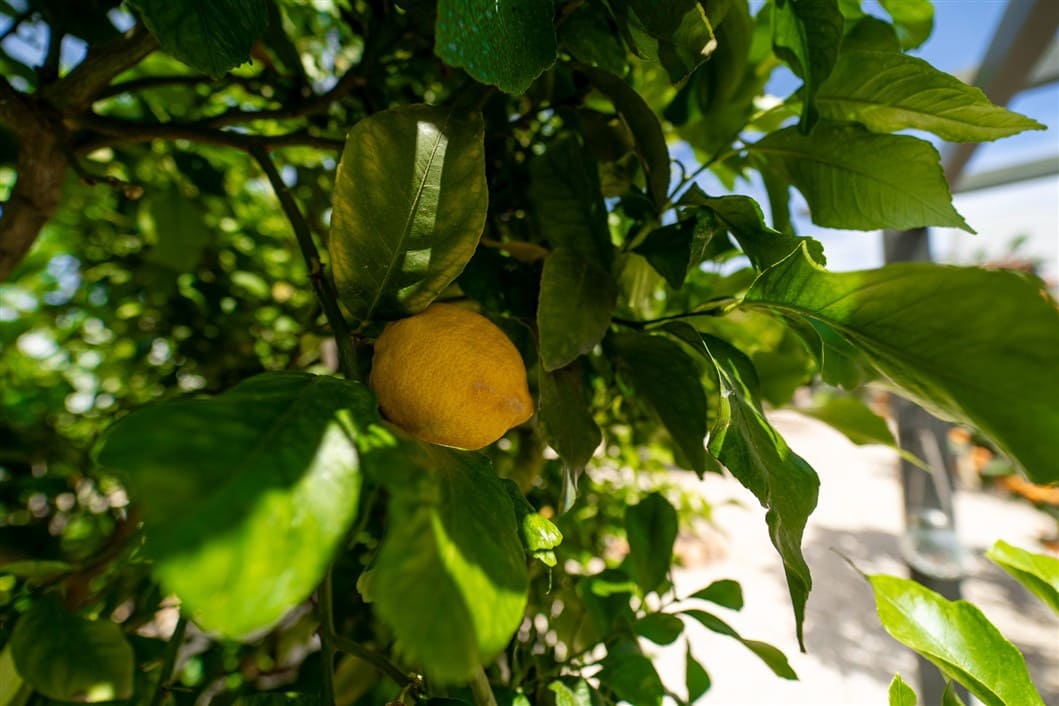 4 makuuhuone Huvila myytävänä paikassa El Chaparral mukana uima-altaan - 495 000 € (Ref: 9527192)