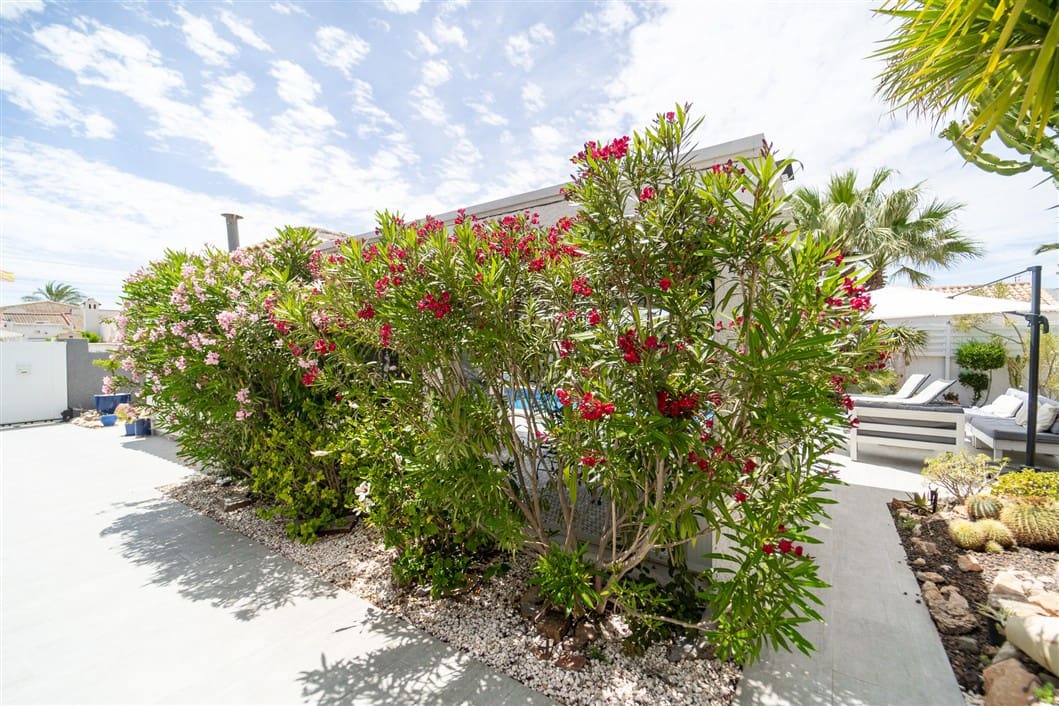 4 makuuhuone Huvila myytävänä paikassa El Chaparral mukana uima-altaan - 495 000 € (Ref: 9527192)