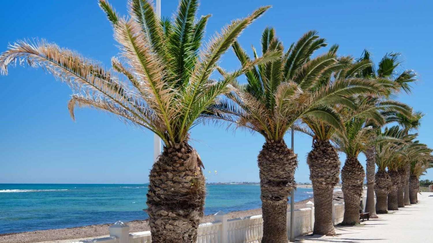 3 slaapkamer Bungalow te koop in Torre de la Horadada - € 272.500 (Ref: 9714630)