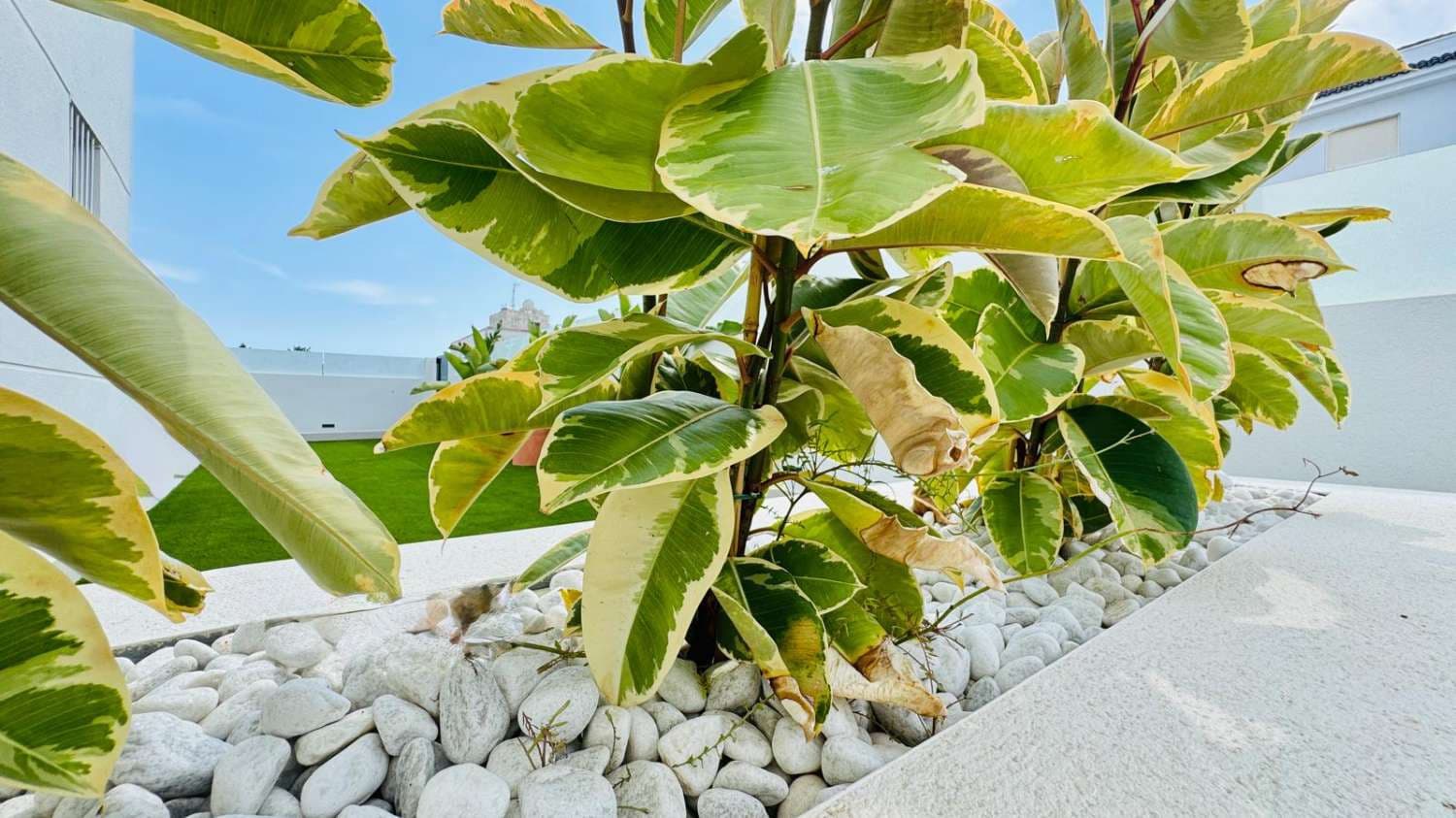 3 camera da letto Bungalow in vendita in La Veleta con piscina - 489.000 € (Rif: 9714632)