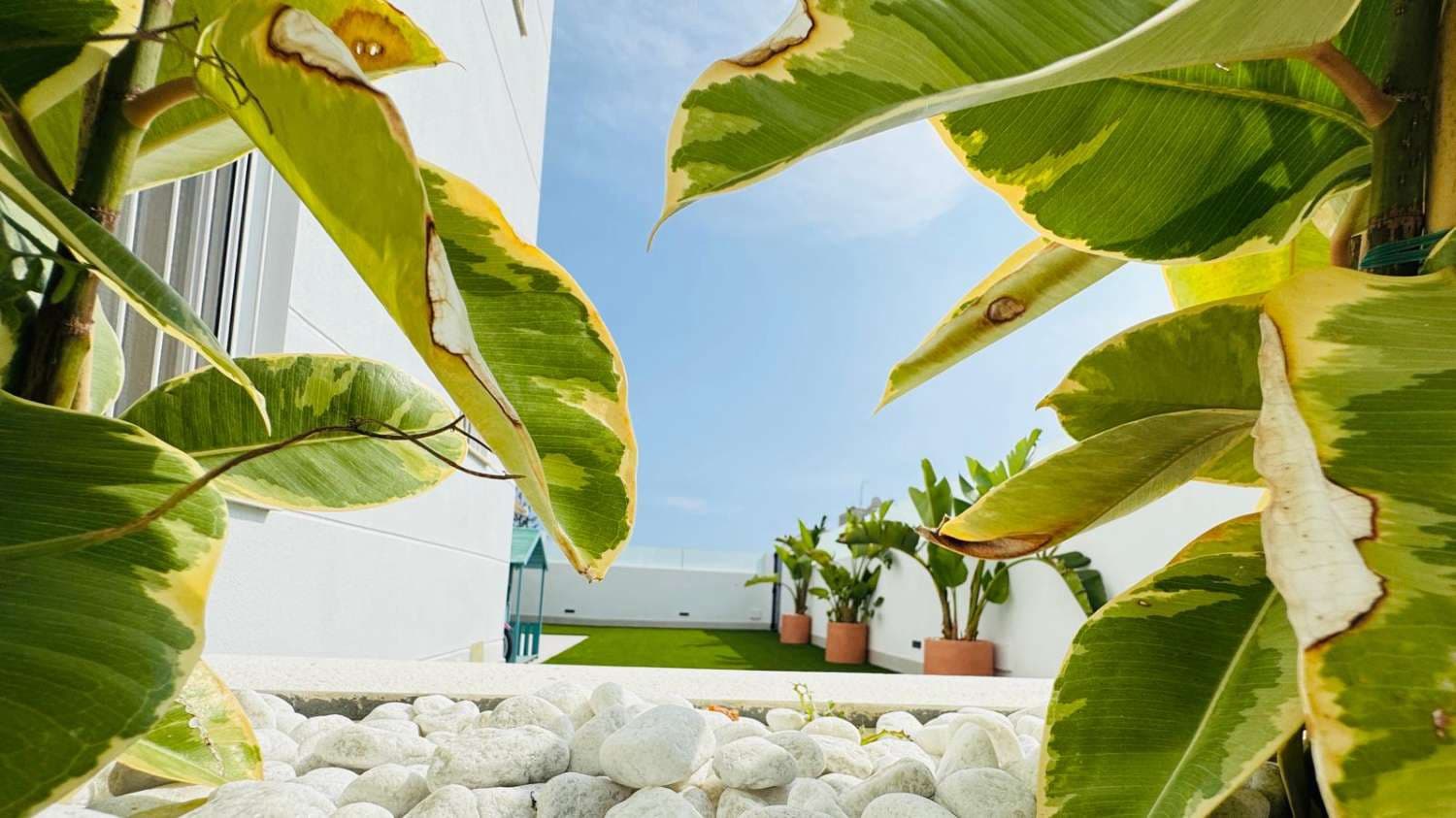 3 camera da letto Bungalow in vendita in La Veleta con piscina - 489.000 € (Rif: 9714632)