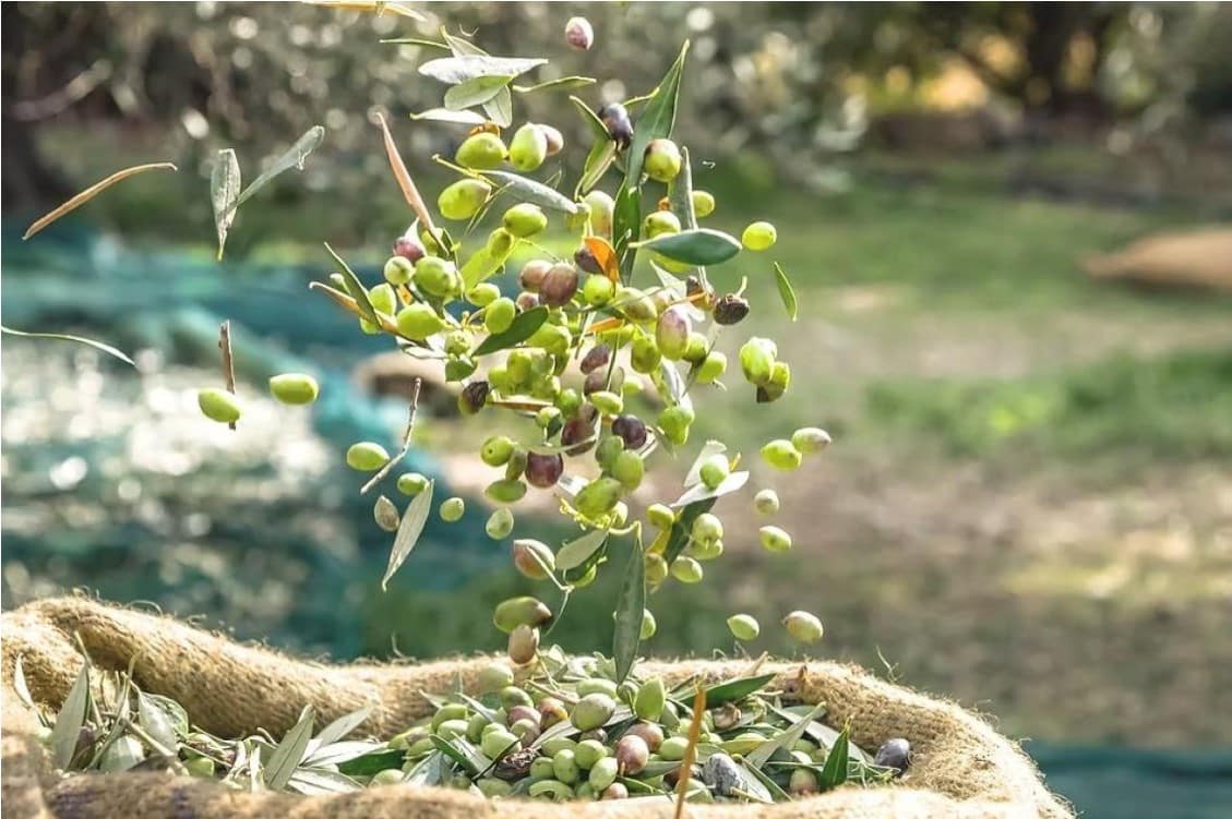 10 bedroom Finca/Country House for sale in Puerto Lumbreras with pool - € 2,850,000 (Ref: 9777783)