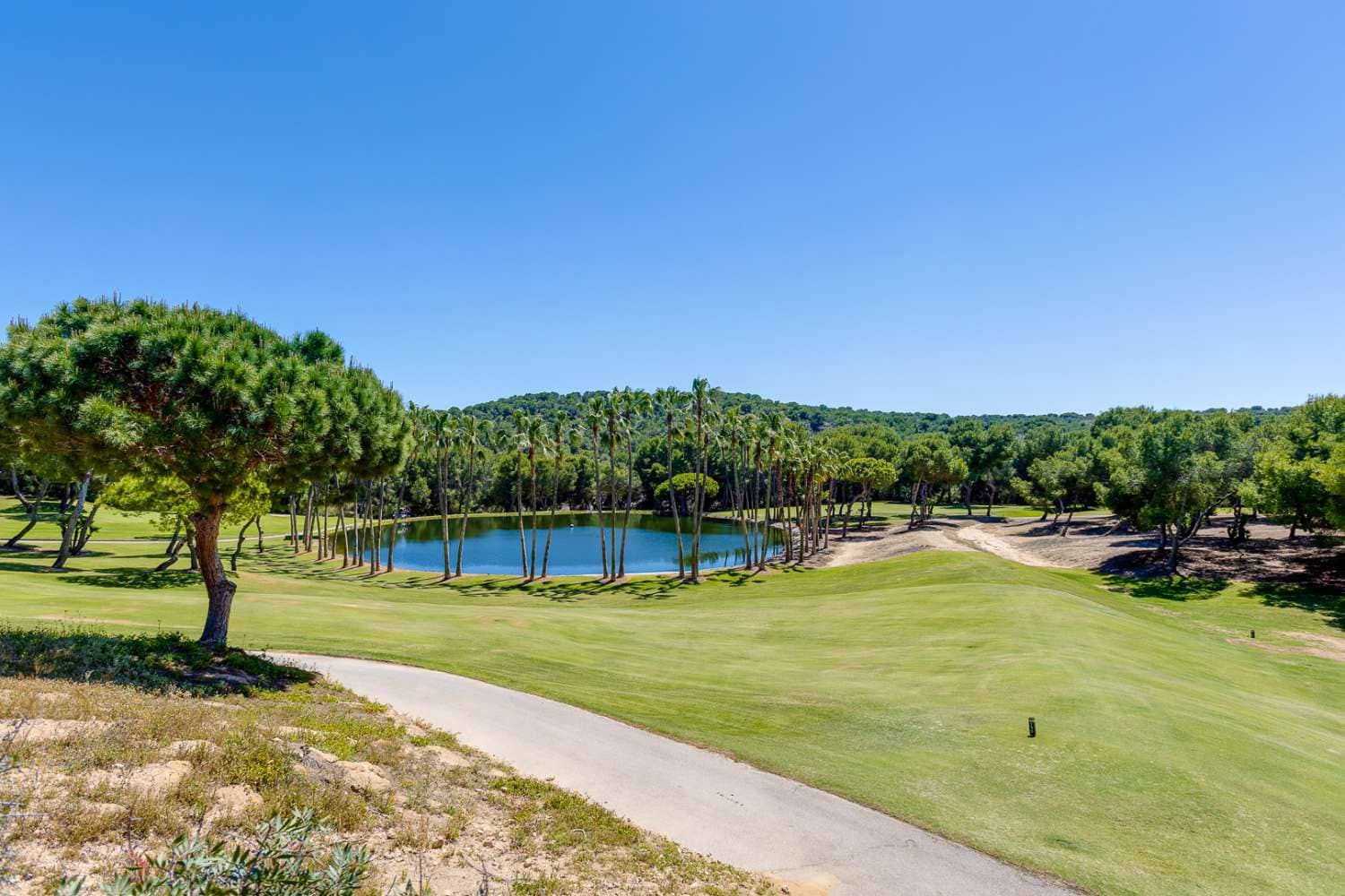 5 slaapkamer Villa te koop in San Miguel de Salinas met zwembad garage - € 495.000 (Ref: 9836129)