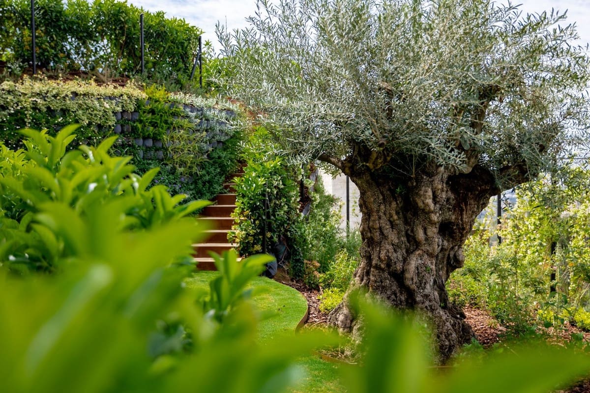 8 soverom Villa til salgs i Benahavis med svømmebasseng garasje - € 19 850 000 (Ref: 9372350)