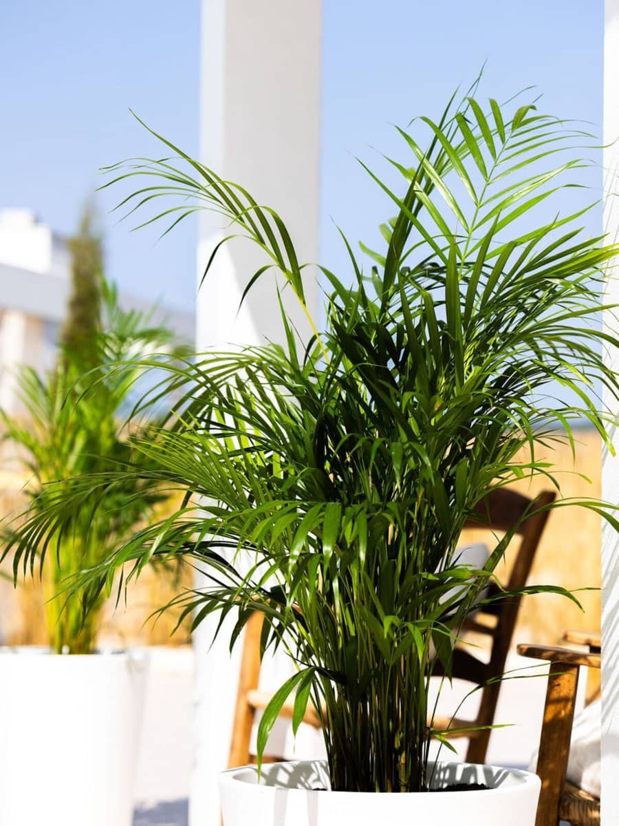 3 sypialnia Willa na sprzedaż w Estepona z basenem garażem - 1 395 000 € (Ref: 9641087)