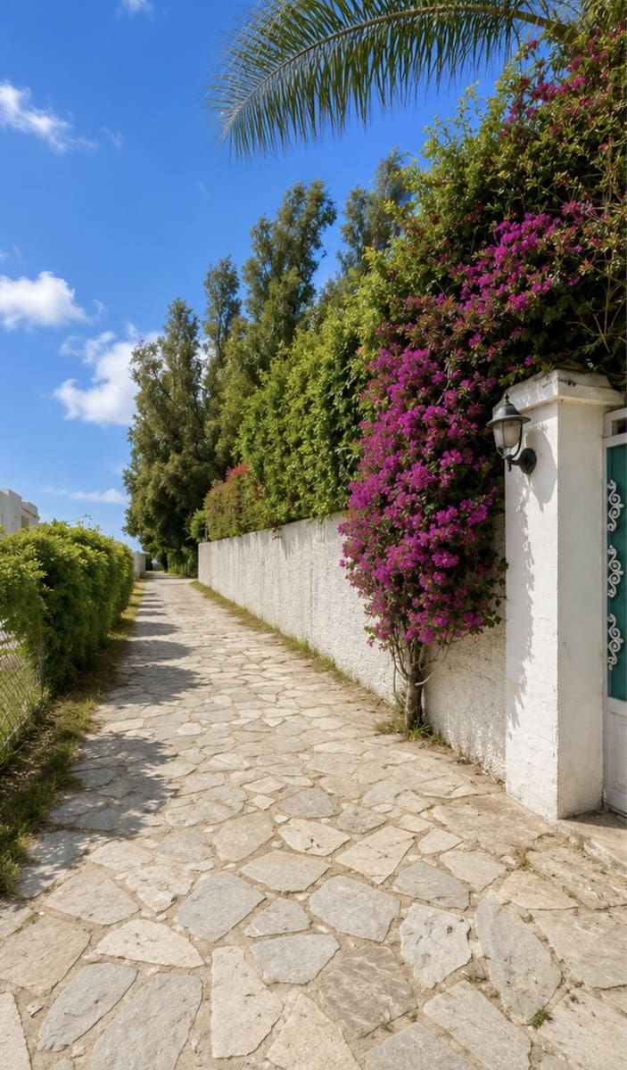 5 bedroom Villa for sale in New Golden Mile with pool garage - € 2,400,000 (Ref: 9815048)