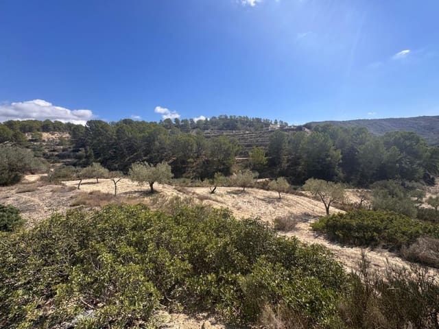 Finka/Dom wiejski na sprzedaż w Relleu - 139 000 € (Ref: 10040027)