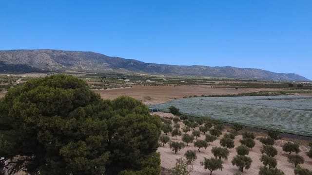 3 soveværelse Finca/Landehus til salg i Lel, Pinoso - € 149.995 (Ref: 10040036)
