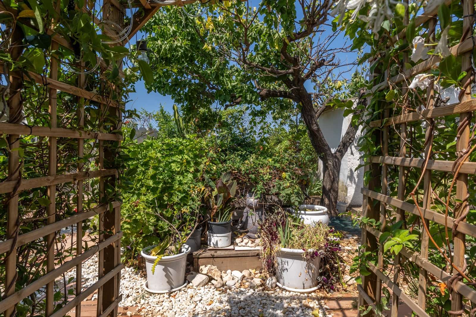 3 bedroom Finca/Country House for sale in El Vergel / Verger - € 399,950 (Ref: 10040062)