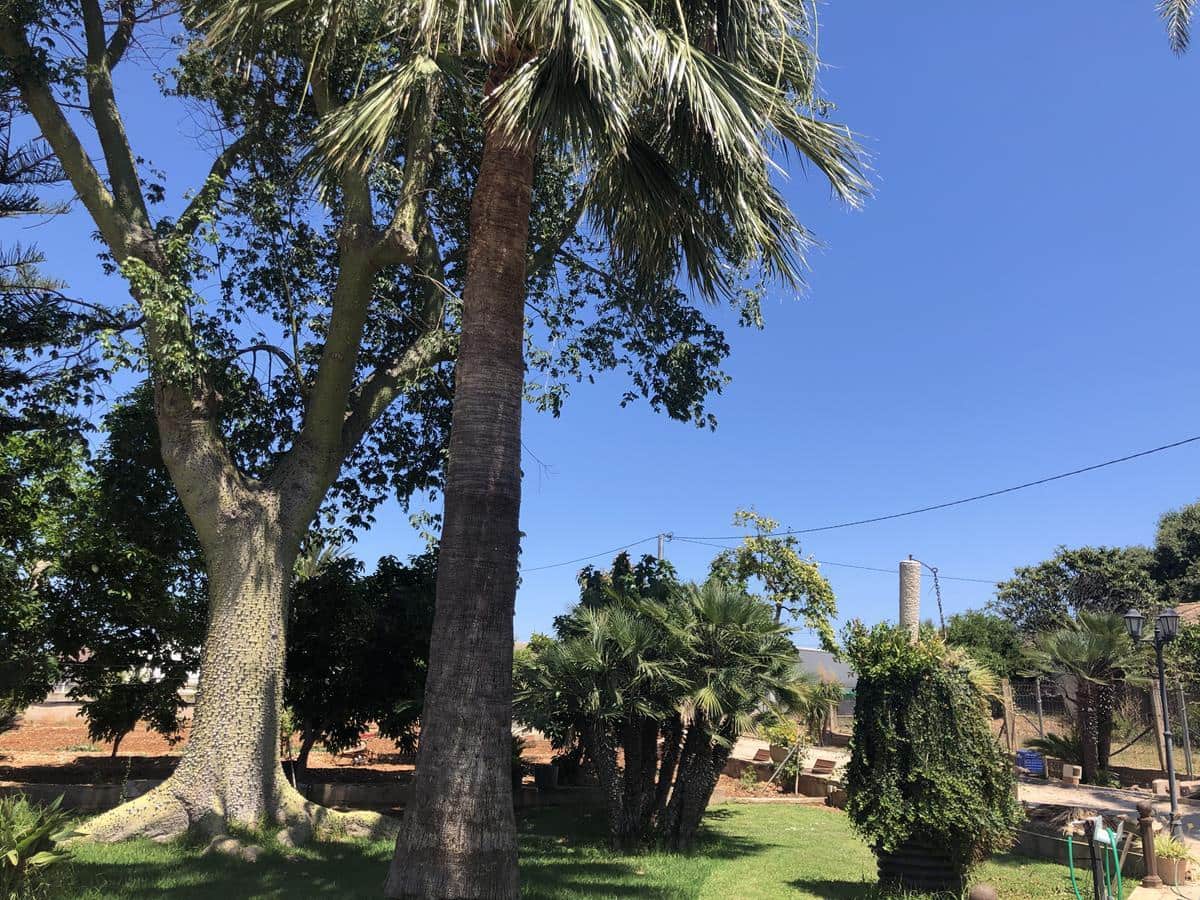 2 slaapkamer Finca/Landhuis te koop in Ondara met zwembad - € 368.000 (Ref: 10040112)