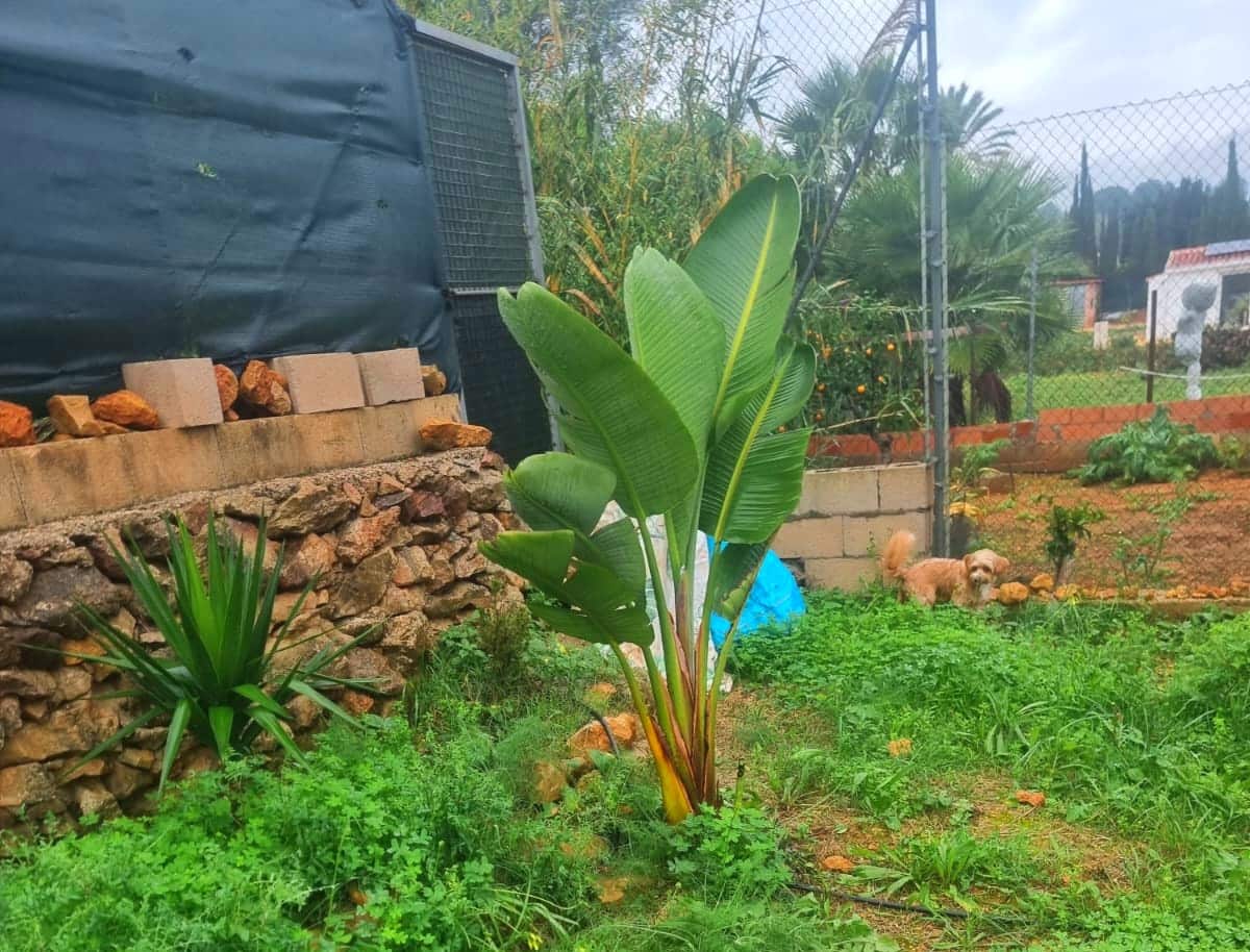 Terreno Non Edificato in vendita in La Sella - 98.500 € (Rif: 10040144)