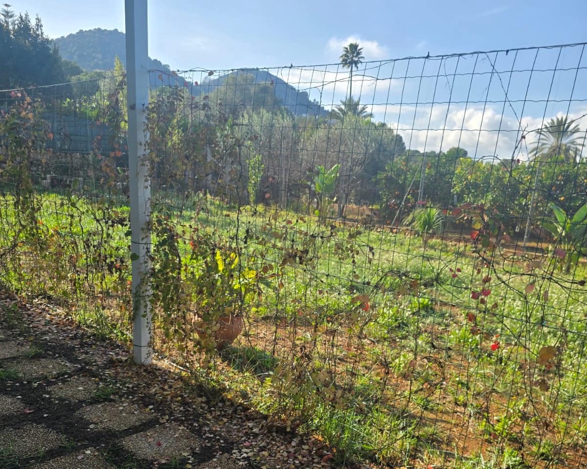 Terreno Non Edificato in vendita in La Sella - 98.500 € (Rif: 10040144)