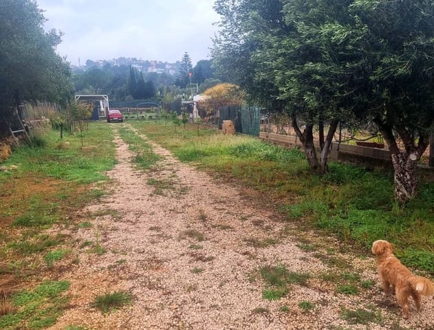 Terreno Non Edificato in vendita in La Sella - 98.500 € (Rif: 10040144)
