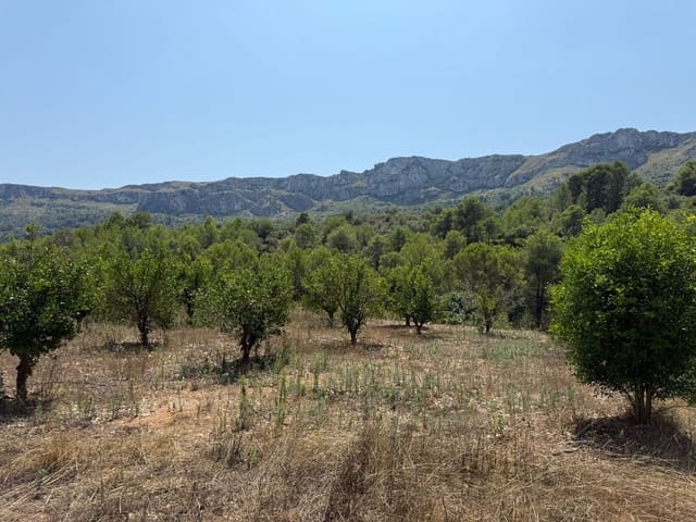 Undeveloped Land for sale in Beniali, Vall de Gallinera - € 45,000 (Ref: 10040145)