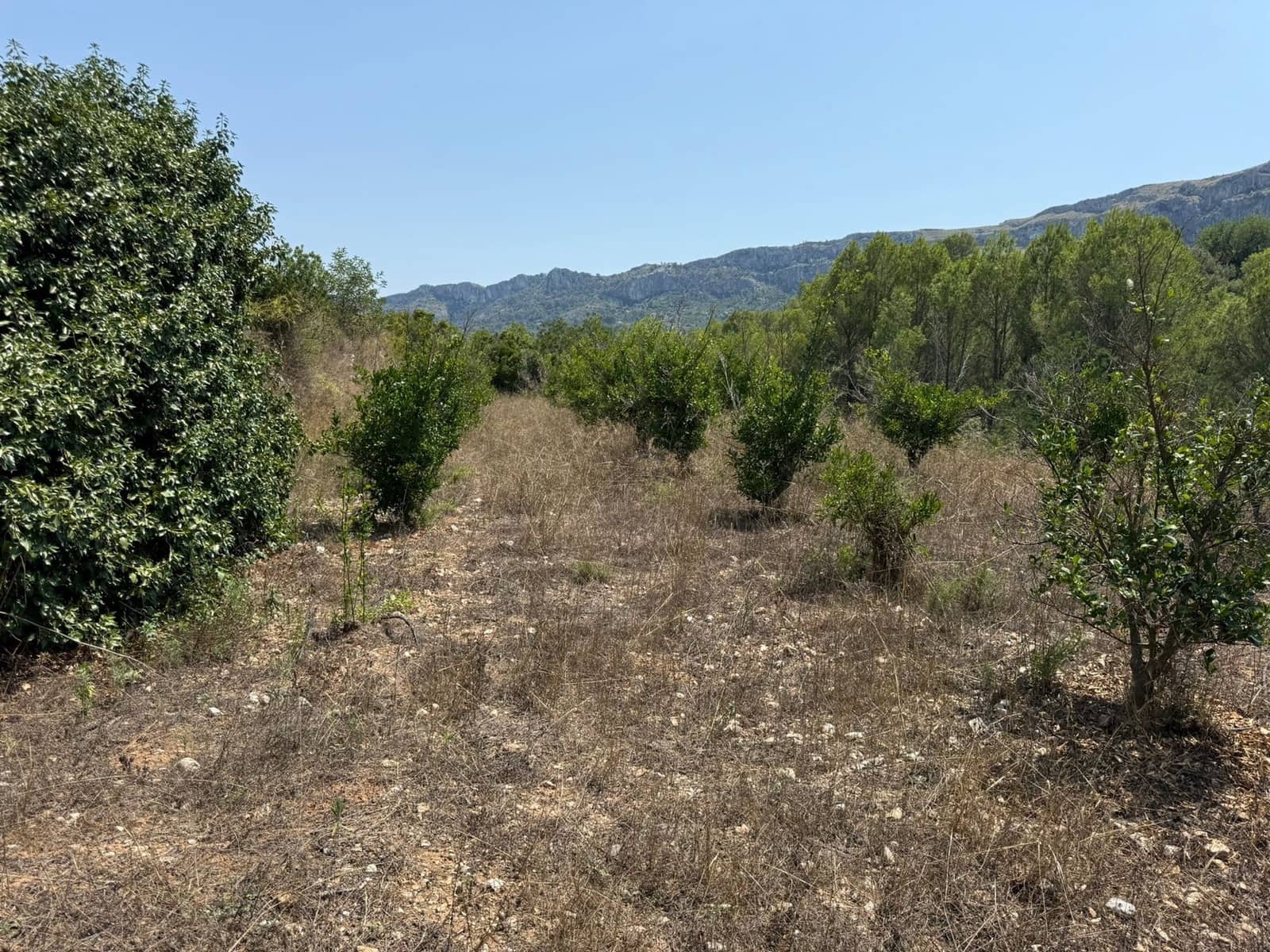 Undeveloped Land for sale in Beniali - € 45,000 (Ref: 10040145)