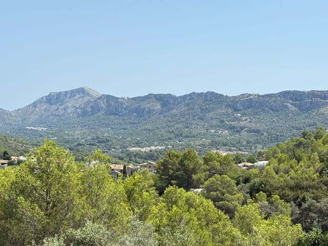 Undeveloped Land for sale in Beniali, Vall de Gallinera - € 45,000 (Ref: 10040145)