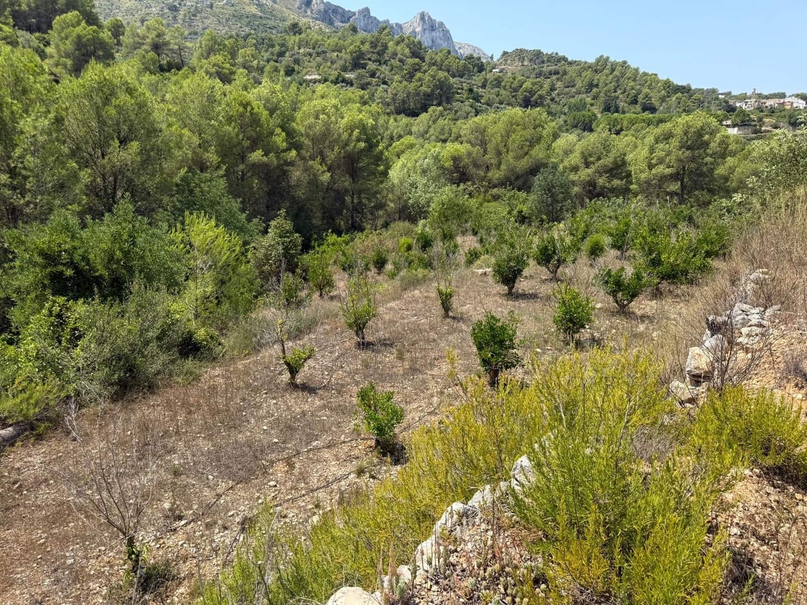 Undeveloped Land for sale in Beniali - € 45,000 (Ref: 10040145)