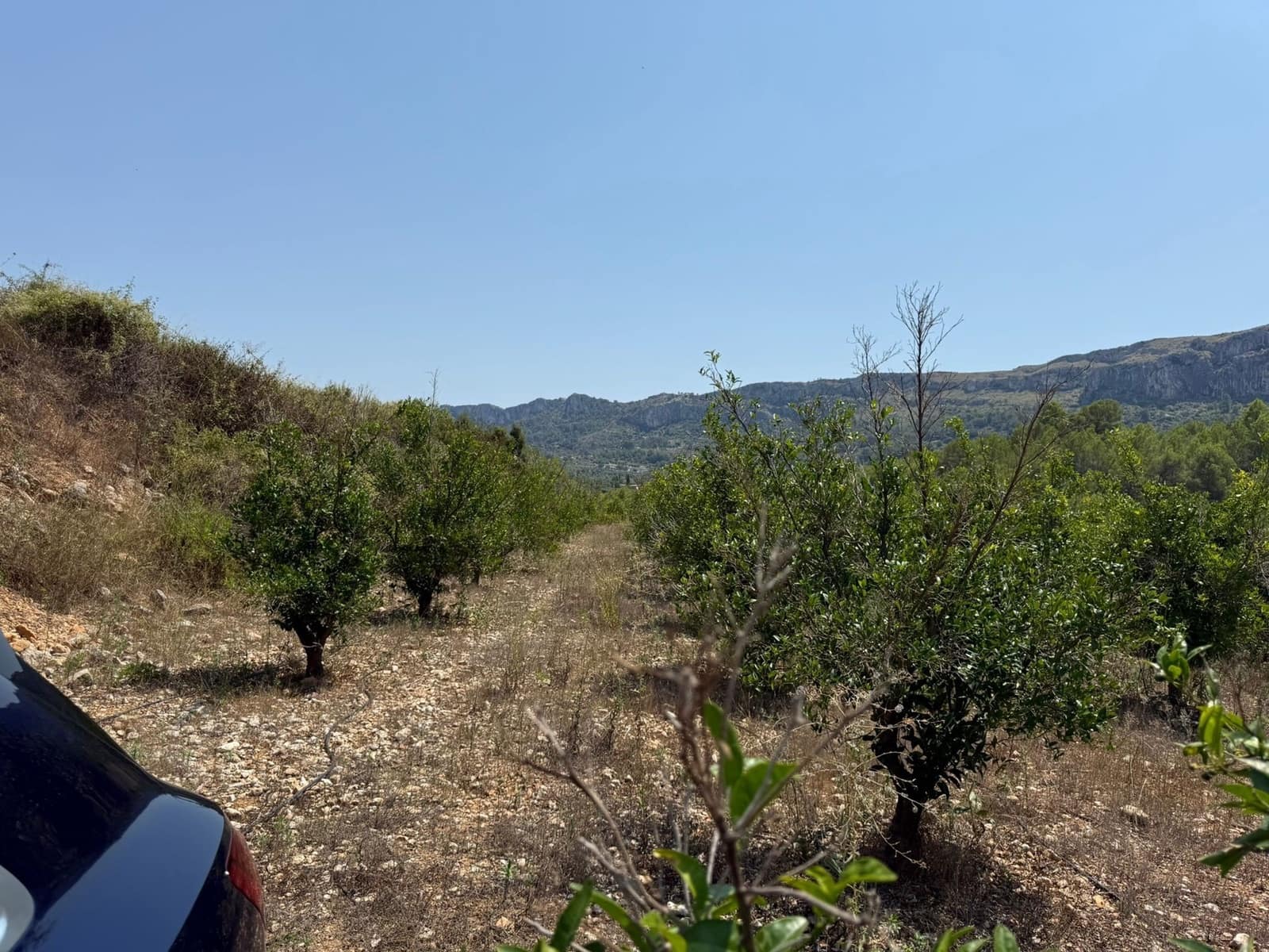 Undeveloped Land for sale in Beniali - € 45,000 (Ref: 10040145)