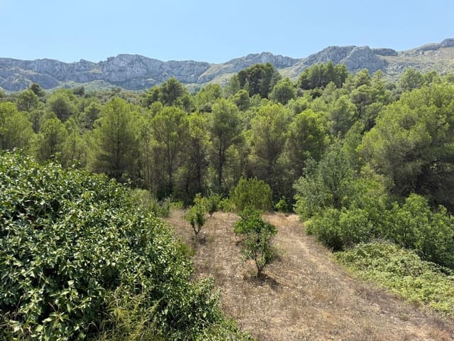 Undeveloped Land for sale in Beniali, Vall de Gallinera - € 45,000 (Ref: 10040145)