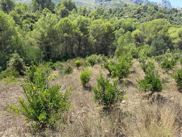 Undeveloped Land for sale in Beniali, Vall de Gallinera - € 45,000 (Ref: 10040145)
