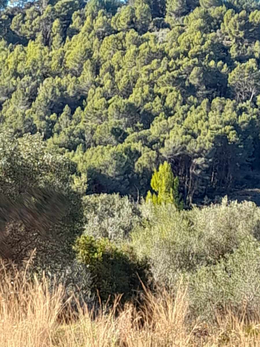 Terreno Non Edificato in vendita in Benidoleig - 30.000 € (Rif: 10040146)