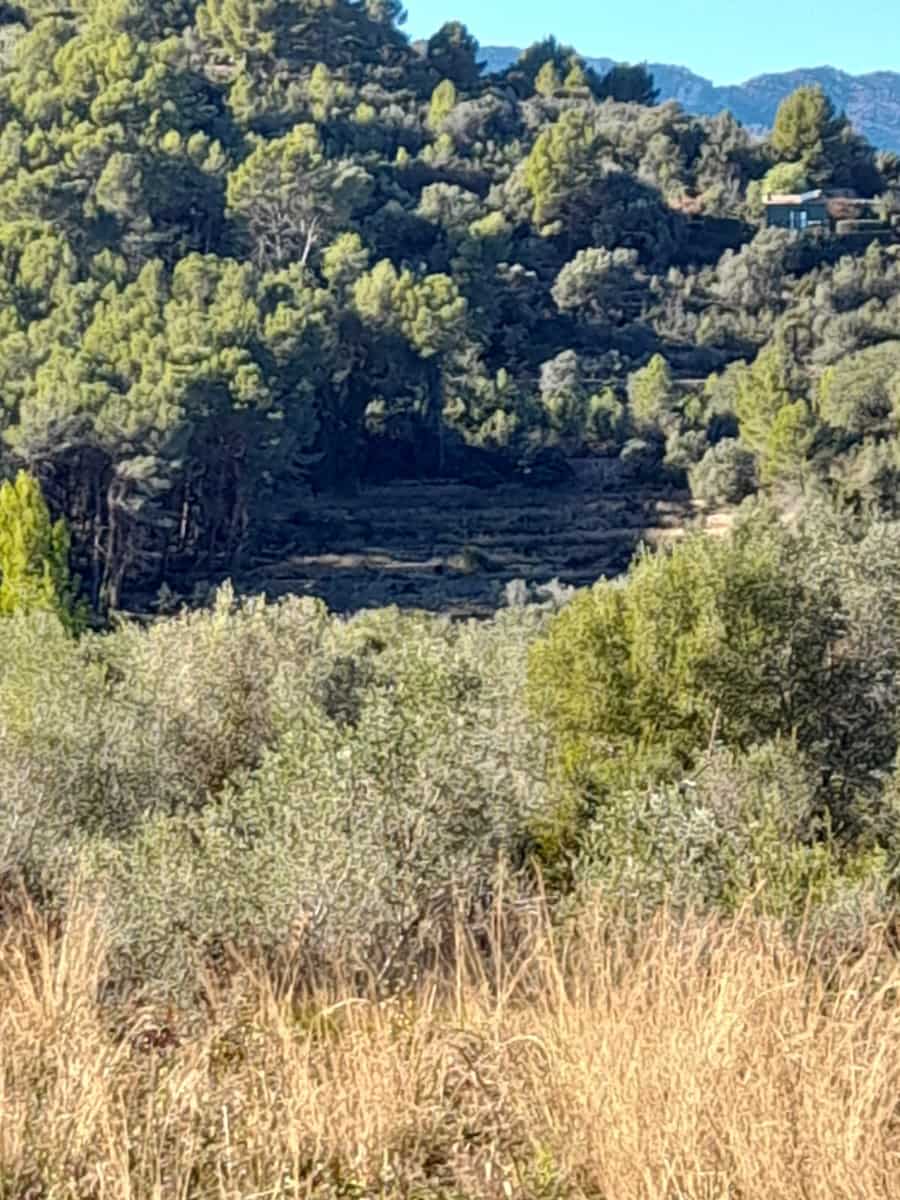 Terreno Non Edificato in vendita in Benidoleig - 30.000 € (Rif: 10040146)