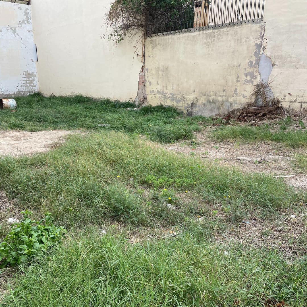 Building Plot for sale in Ondara - € 150,000 (Ref: 10040147)