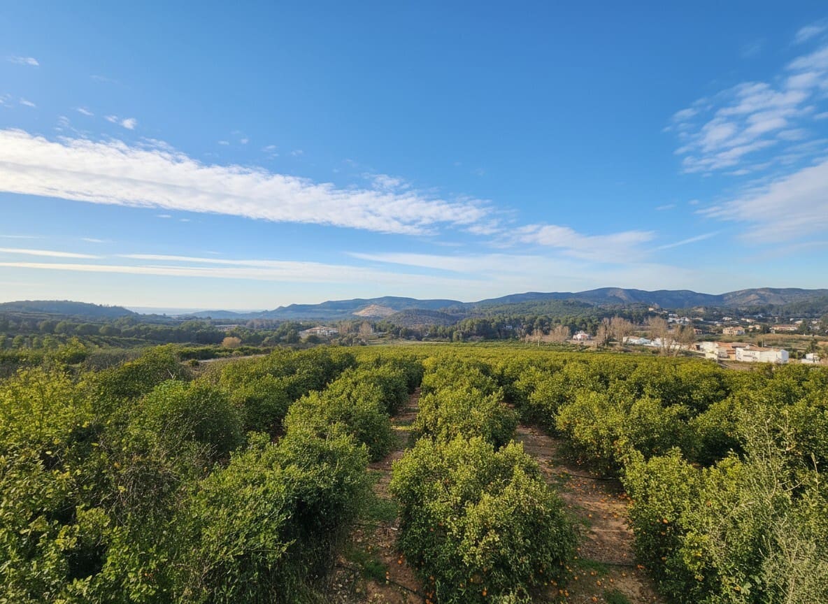 Finca/Casa Rural de 3 habitaciones en Xàtiva en venta con piscina garaje - 136.000 € (Ref: 10049445)