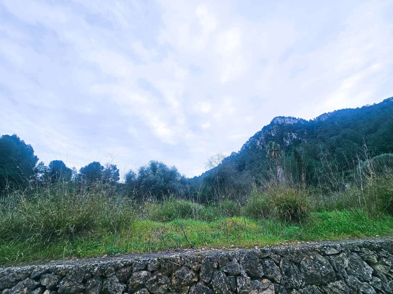 Finca/Casa Rural de 3 habitaciones en Xàtiva en venta con piscina garaje - 136.000 € (Ref: 10049445)