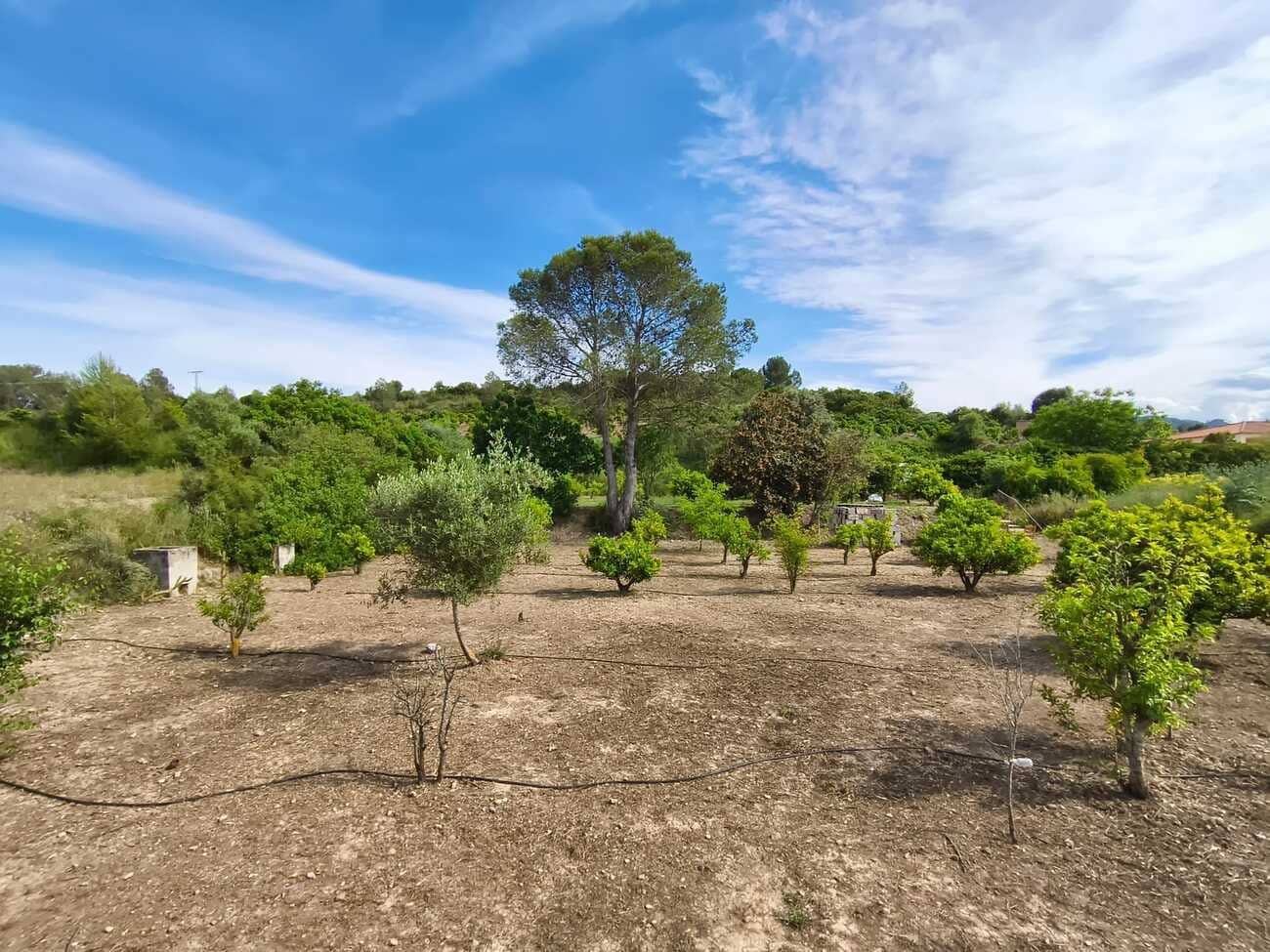 Finca/Casa Rural de 5 habitaciones en Xàtiva en venta con piscina garaje - 485.000 € (Ref: 10049448)