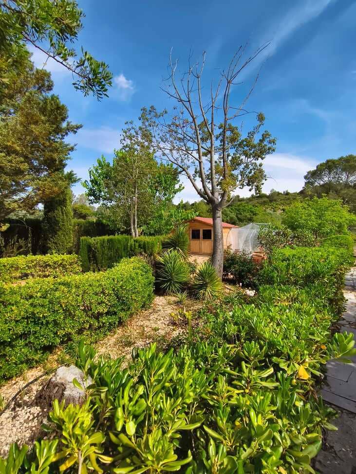 Finca/Casa Rural de 5 habitaciones en Xàtiva en venta con piscina garaje - 485.000 € (Ref: 10049448)