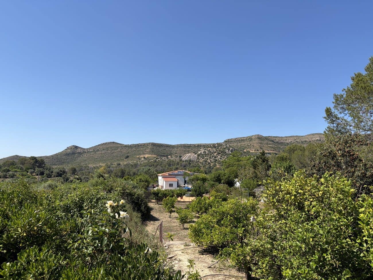 Finca/Casa Rural de 5 habitaciones en Xàtiva en venta con piscina garaje - 485.000 € (Ref: 10049448)