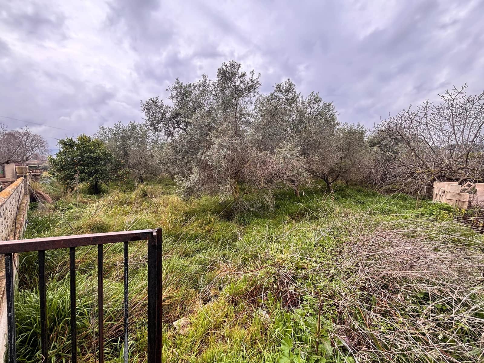 2 bedroom Finca/Country House for sale in Ondara with pool - € 250,000 (Ref: 10049461)