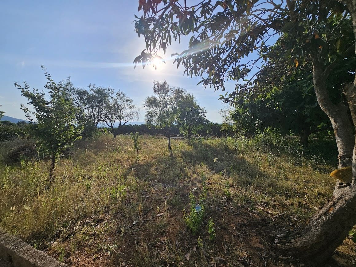 3 soverom Finca/Herregård til salgs i Canals med svømmebasseng - € 249 000 (Ref: 10049625)