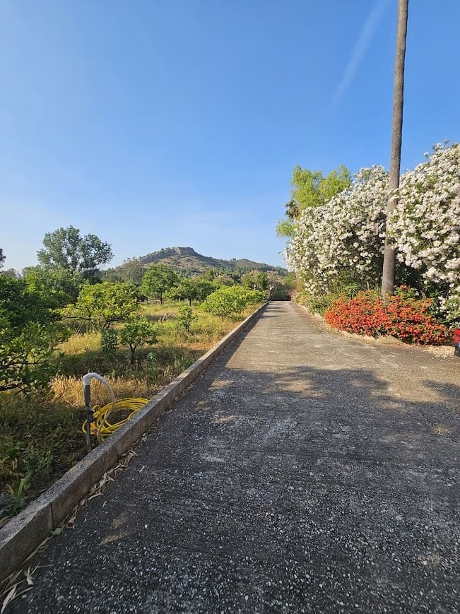 3 soverom Finca/Herregård til salgs i Canals med svømmebasseng - € 249 000 (Ref: 10049625)