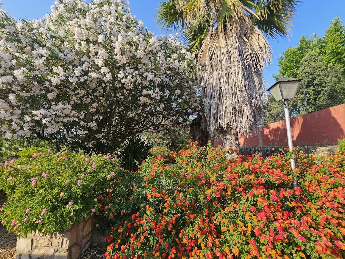 3 soverom Finca/Herregård til salgs i Canals med svømmebasseng - € 249 000 (Ref: 10049625)